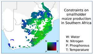 crop yield africa